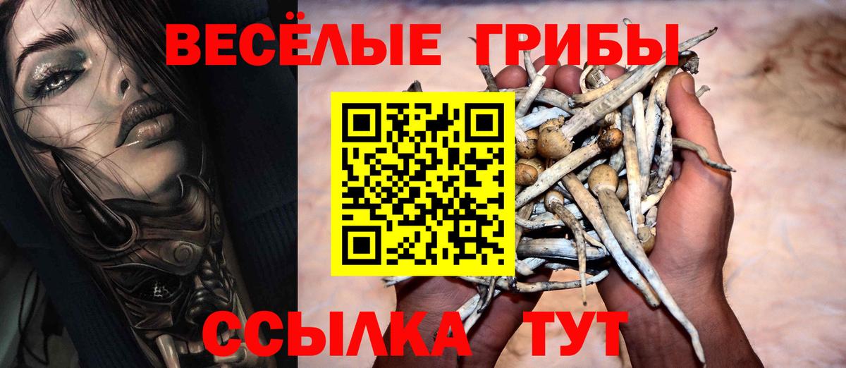 Галлюциногенные грибы MAGIC MUSHROOMS Батайск