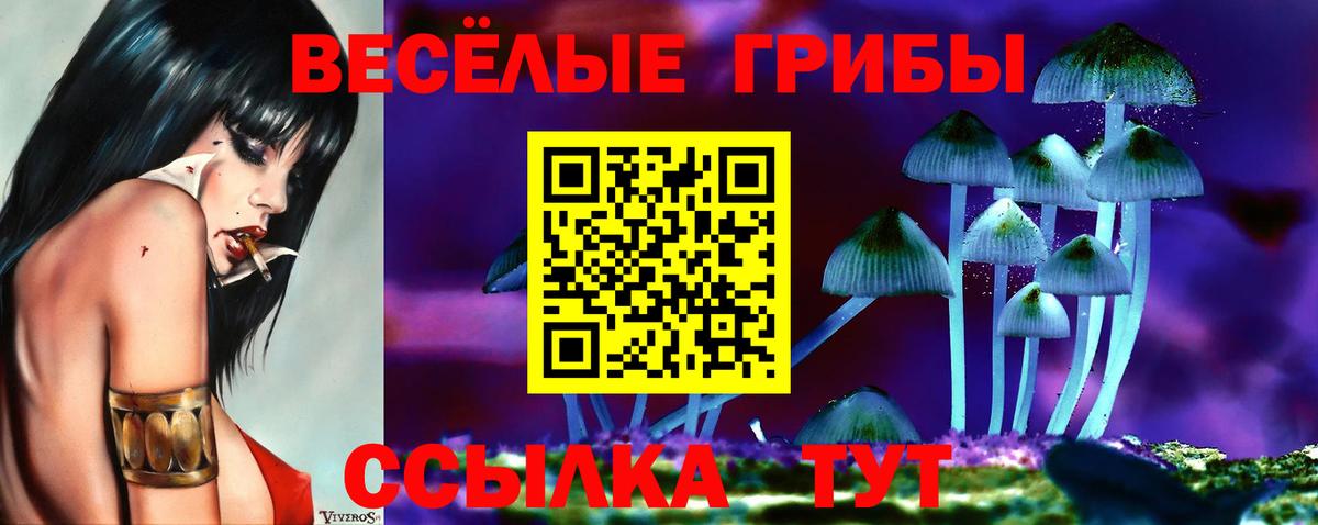 Батайск  Галлюциногенные грибы Magic Shrooms  Вход с VPN  Псилоцибиновые грибы GOLDEN TEACHER 